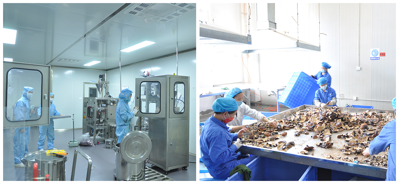 四川省一片葉藥業(yè)有限公司(匯濟(jì)康)(圖3) 四川省一片葉藥業(yè)有限公司(匯濟(jì)康)(圖3)